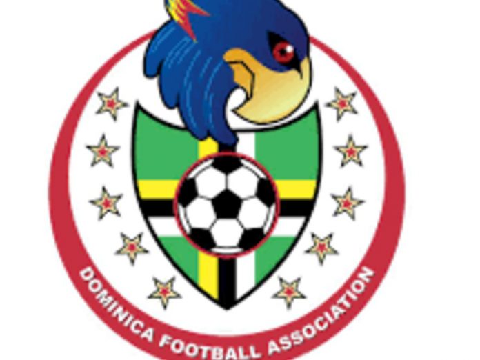 DFA Logo