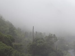 Weather in Dominica