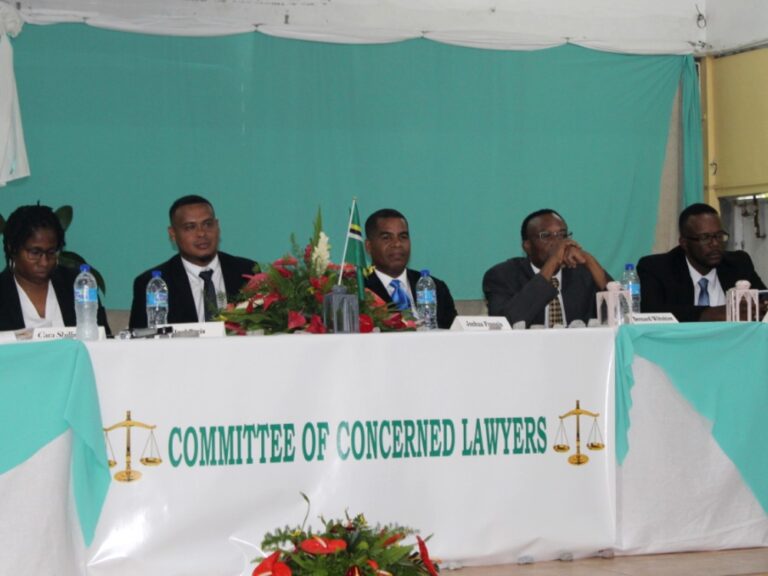 Concerned lawyers form NGO group