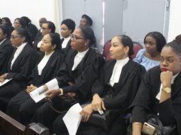 Lawyer in Dominica