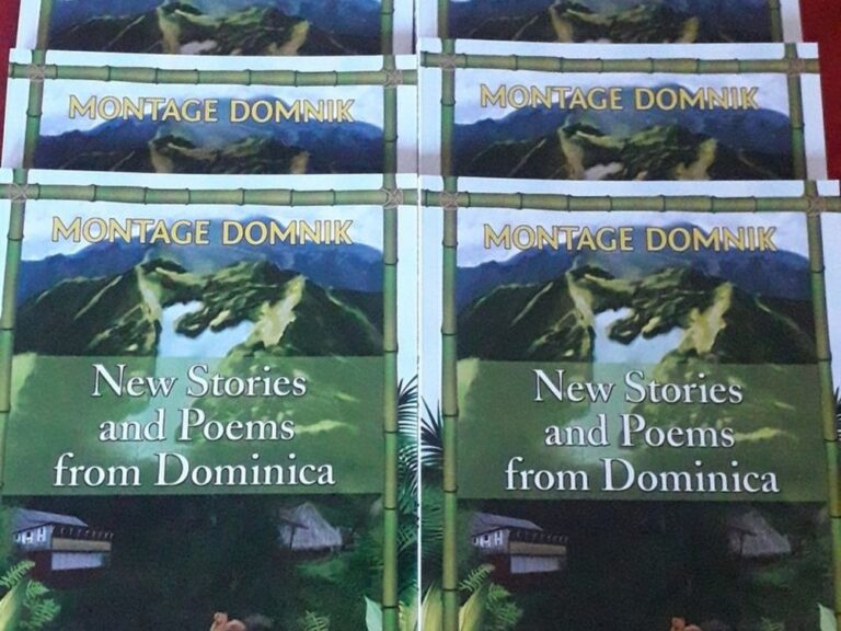 Dominican writers publish a book of short stories and poems