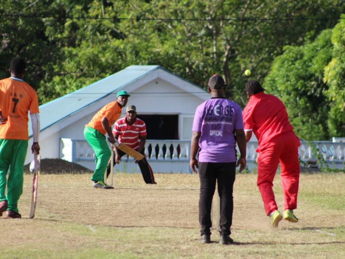 Ishmael Lander in Pointe Michel Soft ball cricket