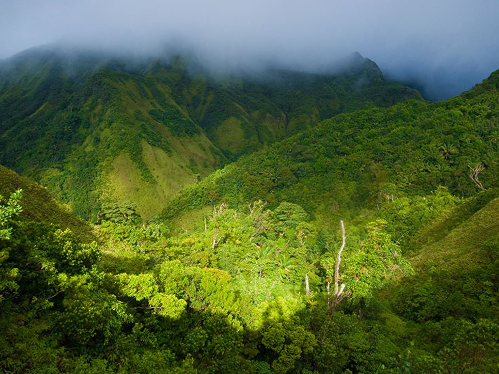 National Park Dominica