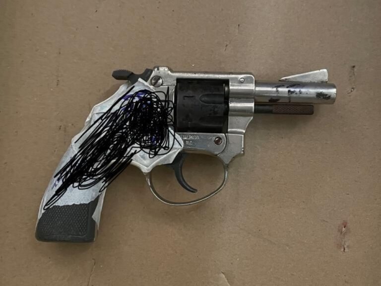 Grand Bay man sentenced to 18 months jail for possession of unlicensed .22 Revolver