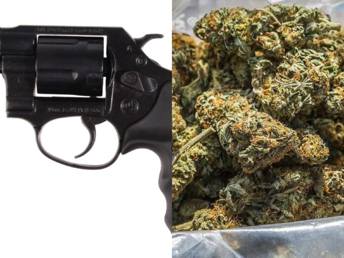 .380 Special Revolver and Cannabis