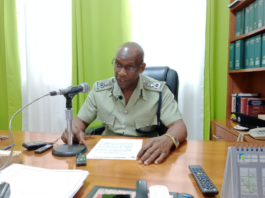 Acting COP Davidson Valerie