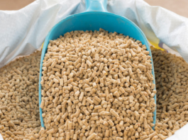 Animal feed