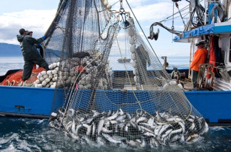 Fisheries