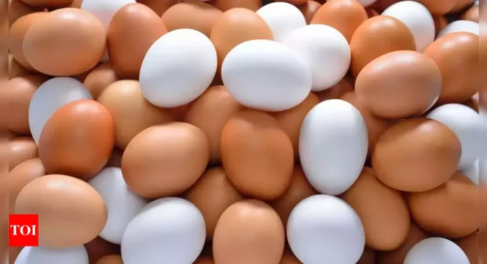 Eggs