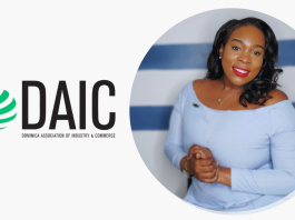 Ashma McDougall new Executive Director of DAIC.