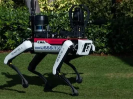 Robot Dogs