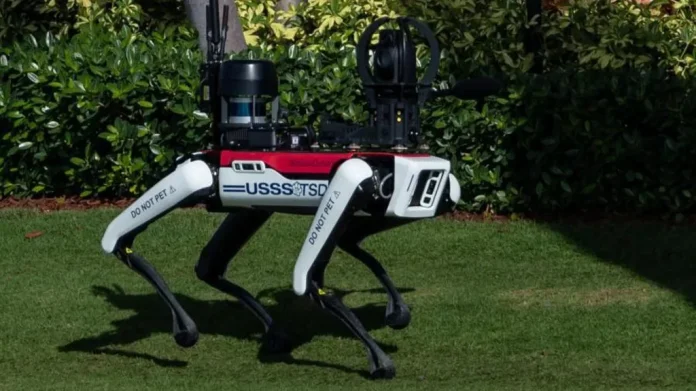 Robot Dogs