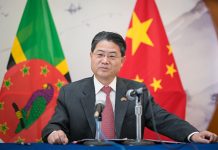 Promoting global development and working together for a better future Chinese Ambassador to Dominica Chu Maoming