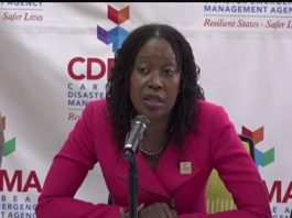CDEMA executive director, Elizabeth Riley
