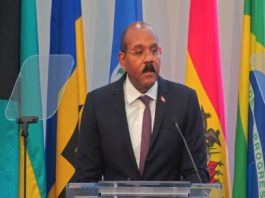 PM Gaston Browne