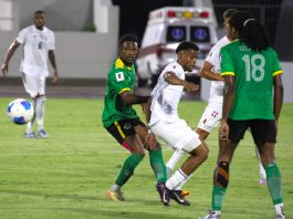 DR (White) and Dominica Green in battle