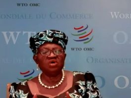 Director General of the World Trade Organization (WTO), Ngozi Okonjo-Iweala