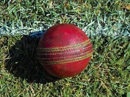 Cricket ball
