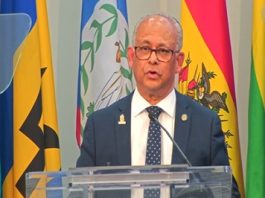 OAS Secretary General Albert Ramdin (CMC photo)