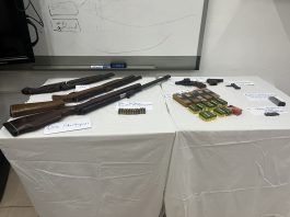 Firearms and ammunitions surrendered to the police during the amnesty