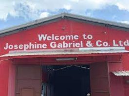 Josephine Gabriel & Co