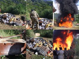 Collage of drugs being destroyed