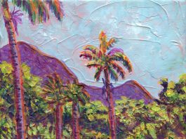 F Agar palm tree view