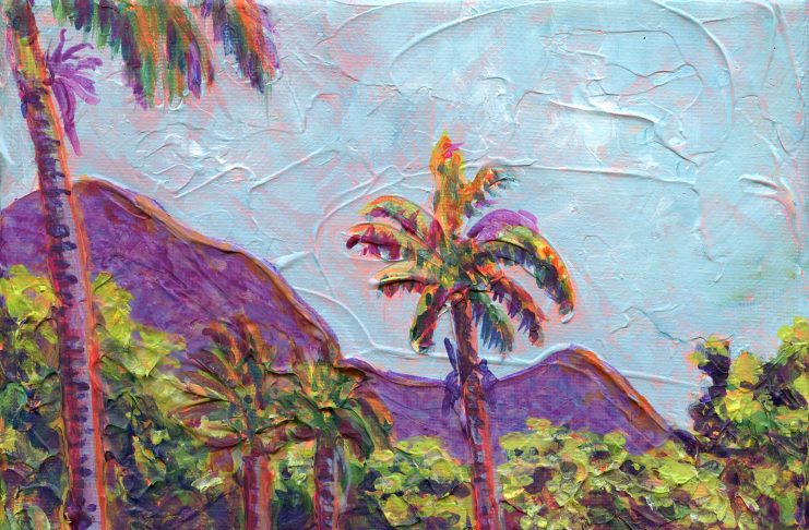 F Agar palm tree view