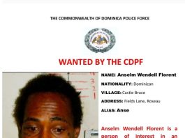 Wanted by the police Wanted by police