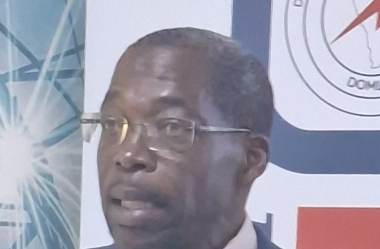 DOMLEC'S BOARD MEMBER SAM RAPHAEL