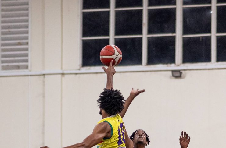 Basketball action