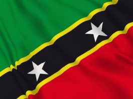 Flag of St. Kitts & Nevis