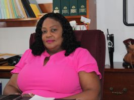 Chief Elections Officer