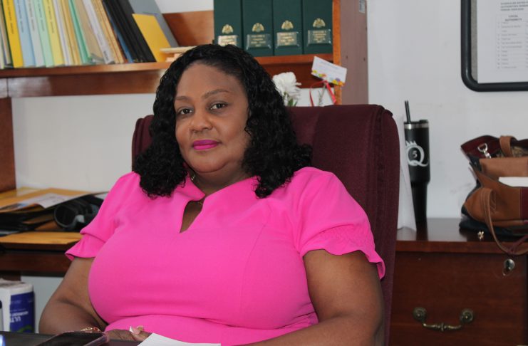 Chief Elections Officer