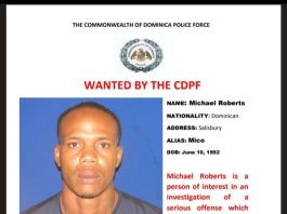 Wanted by the police