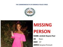 Help needed for missing teenager