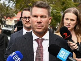 David Warner played 383 matches for Australia across all three formats of international cricket