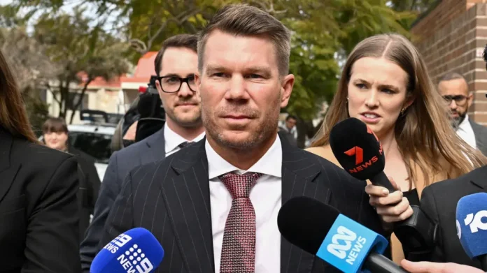 David Warner played 383 matches for Australia across all three formats of international cricket