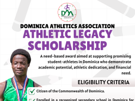 Call for applications for the 2026 DAA Athletic Legacy Scholarship