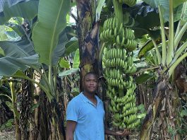 CARICOM Farmer of the year