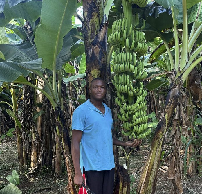 CARICOM Farmer of the year