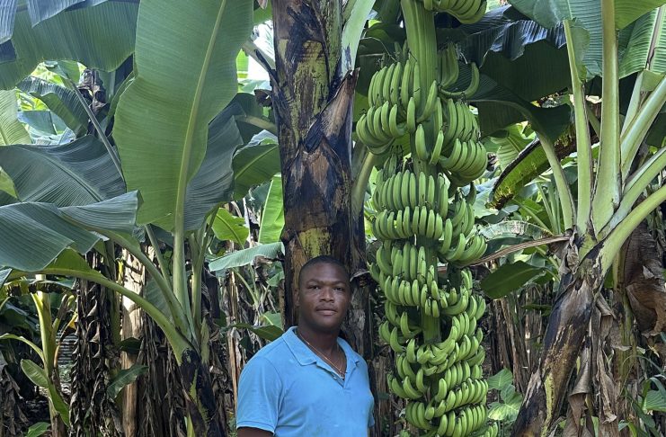 CARICOM Farmer of the year