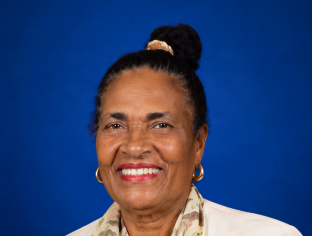Vernice Bellony
